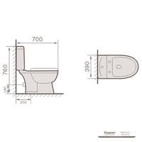 YS22210S Retro design 2-fragmen ceramic CULTUS, prope iuncta P-laqueum washdown latrinam;