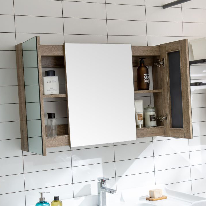Types and Purchase of Bathroom Speculum Cabinets