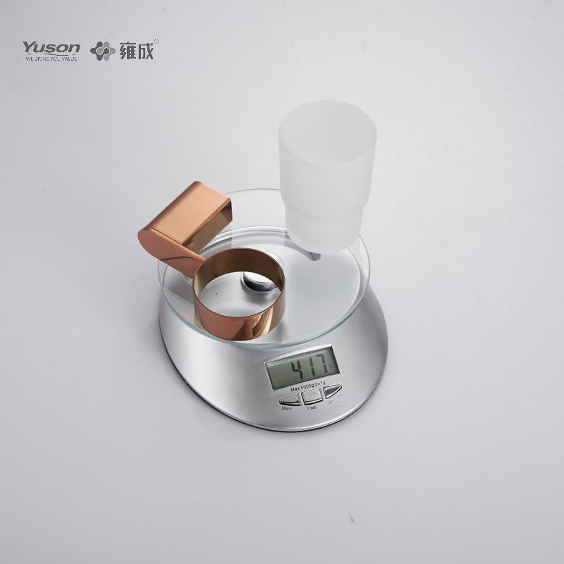 12684 Sleek Bathroom accessiones, possessor Tumbler, cum Frosted/Temperatus Calix vitreus, Zinc/Brass/SUS Tumbler possessor, murus equestris (Series 12600)